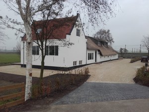 Tuin